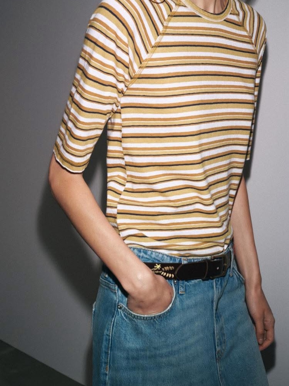 Zara Mustard, White and Brown Striped Short-Sleeve Tee